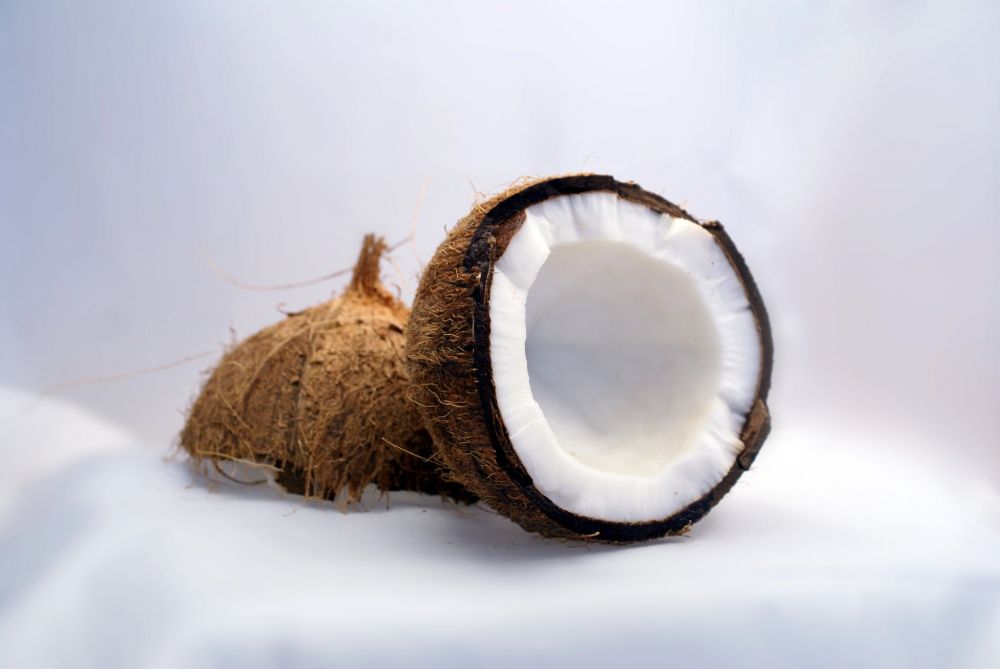 Usaha parutan kelapa segar