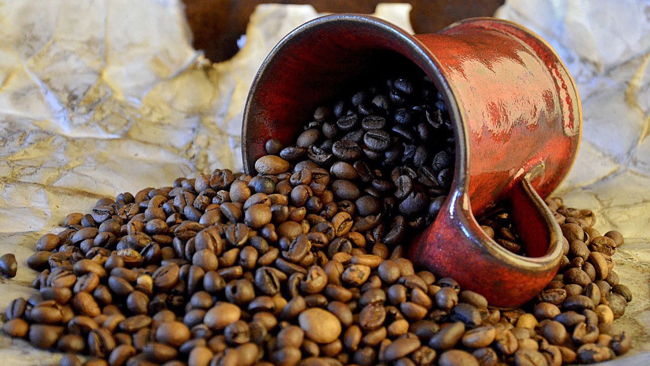 Teknologi Terbaru Mesin Pengupas Kopi Basah, Praktis Banget! post thumbnail image