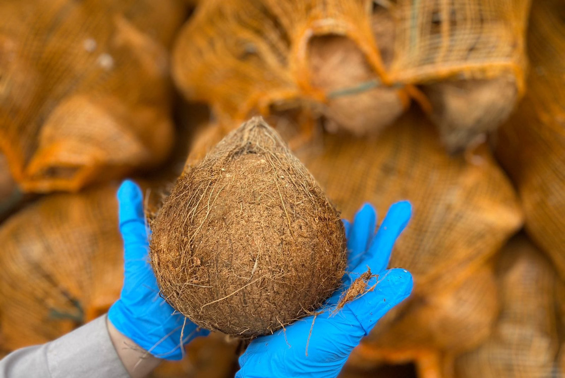 mesin pemisah kelapa dari batok