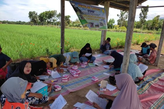 Workshop Cocomesh untuk Siswa Sekolah Lapang Pertanian post thumbnail image