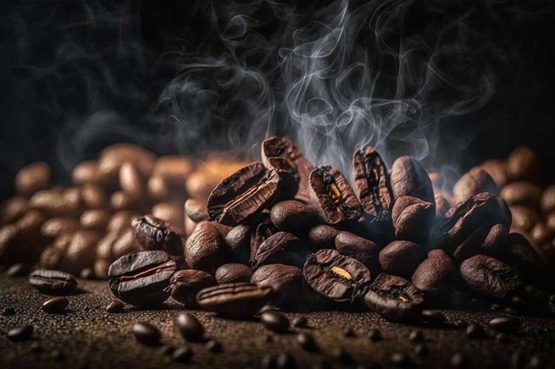 Sangrai kopi berkualitas aroma khas kuat