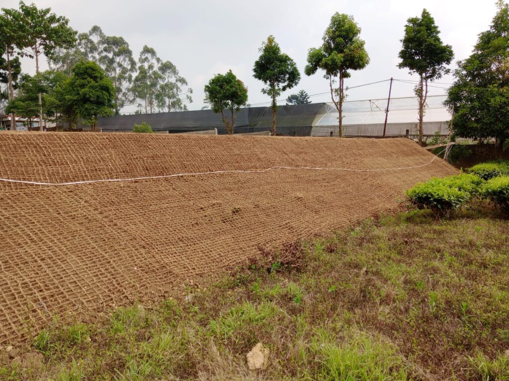 Rehabilitasi Lahan Kritis dengan Media Cocomesh