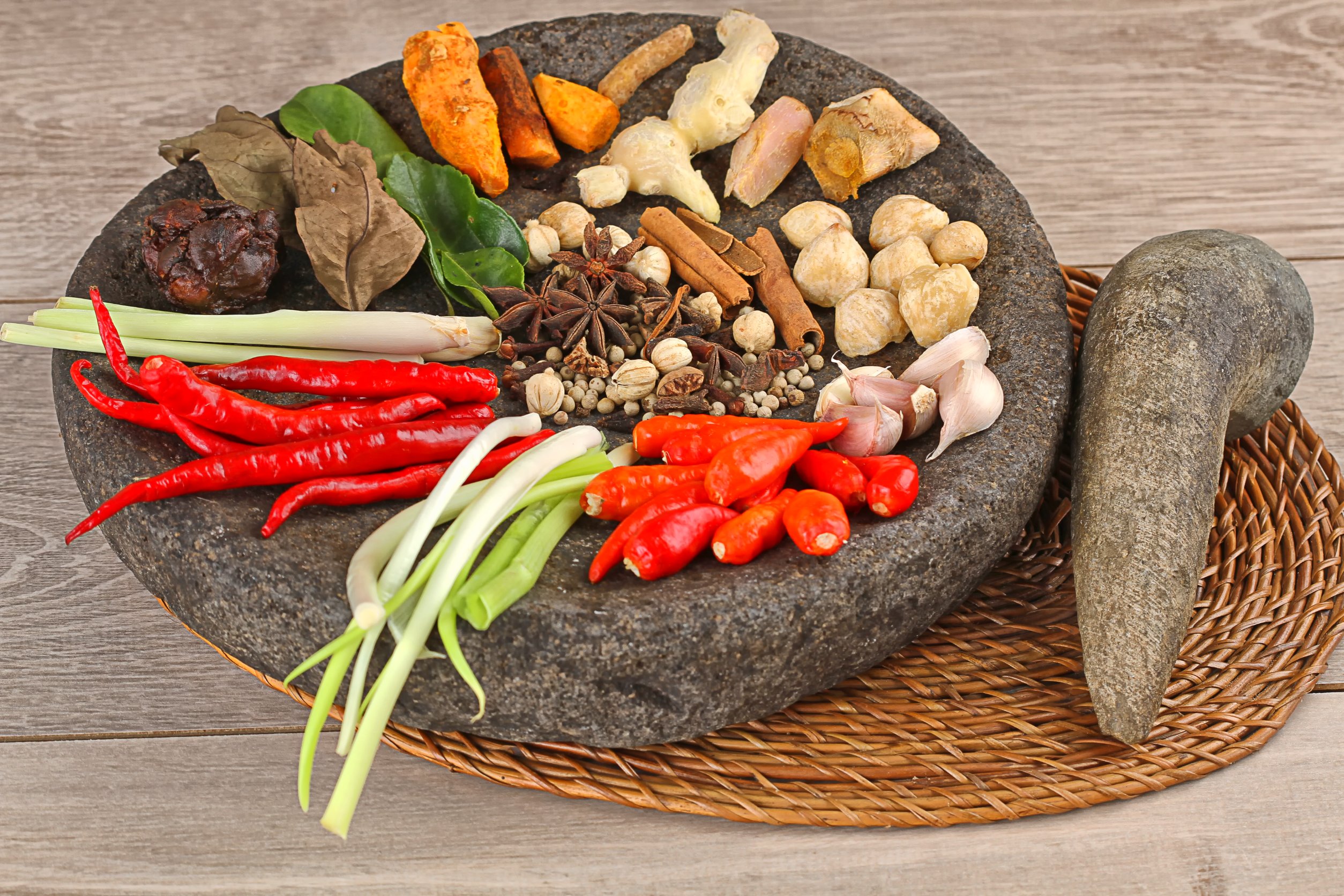 pengaduk bumbu kering usaha kuliner