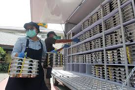 Dapur MBG model distribusi