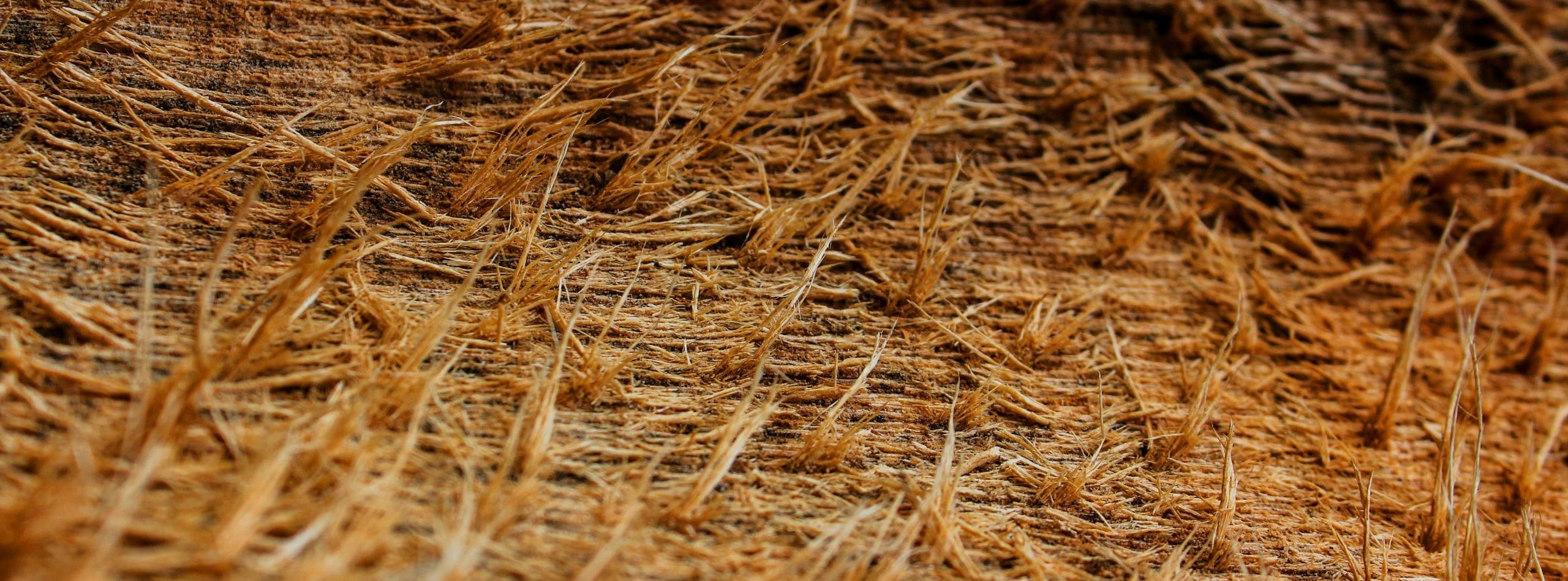 Teknik Penguraian Sabut Kelapa