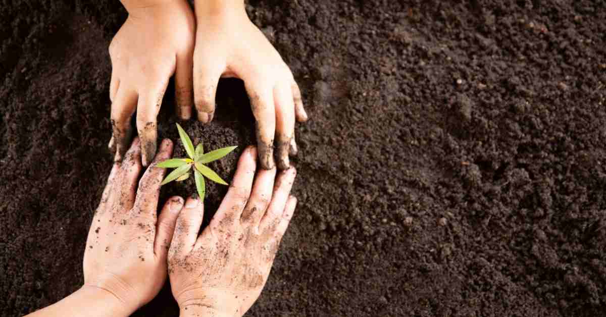 Rehabilitasi Lahan Tambang