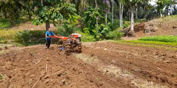 Hand Tractor Untuk Lahan Kering Solusi Efektif Pengolahan Tanah post thumbnail image