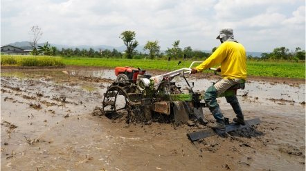 Peran Hand Tractor Modern Pertanian Meningkatkan Produktivitas post thumbnail image