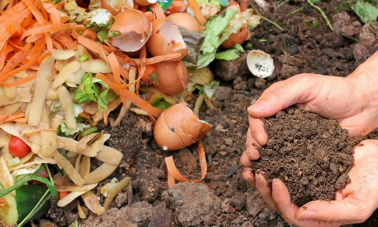 Solusi Olah Sampah Organik Rumah