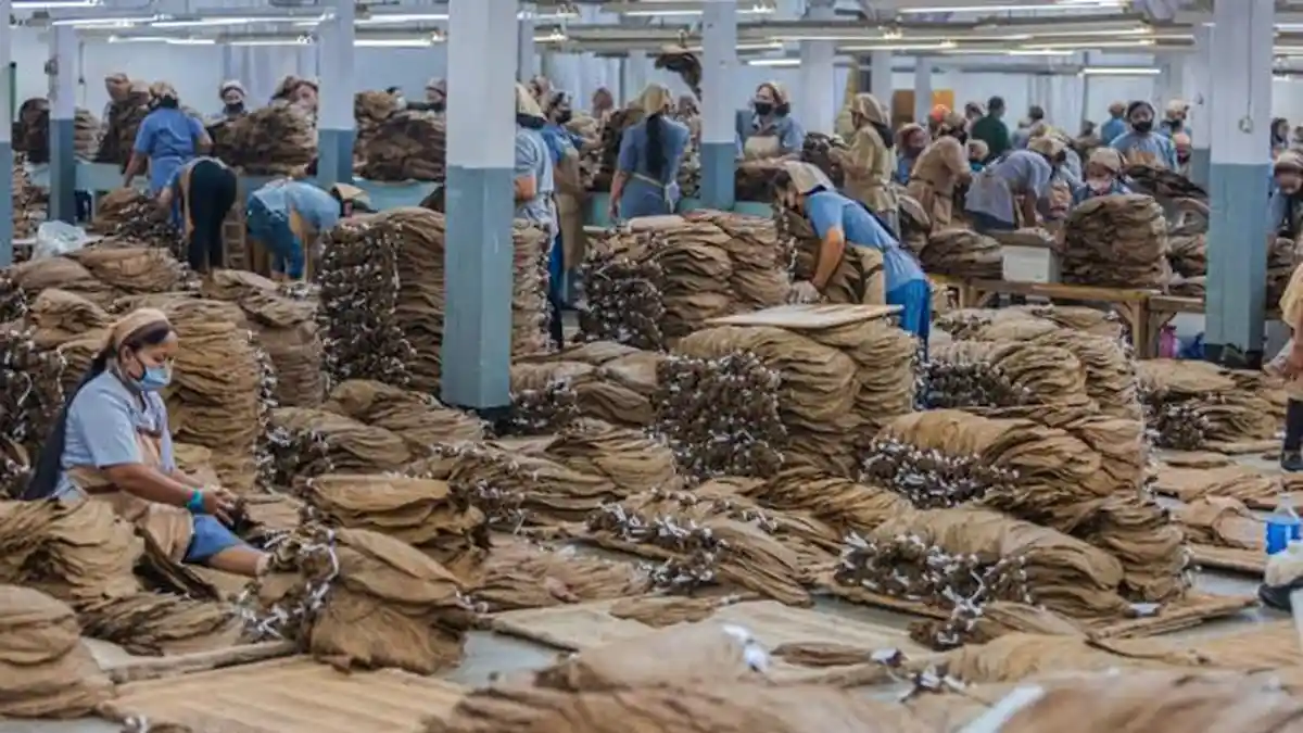 Solusi Mengurangi Biaya Tenaga Kerja Produksi tanpa Menghambat Produktivitas post thumbnail image