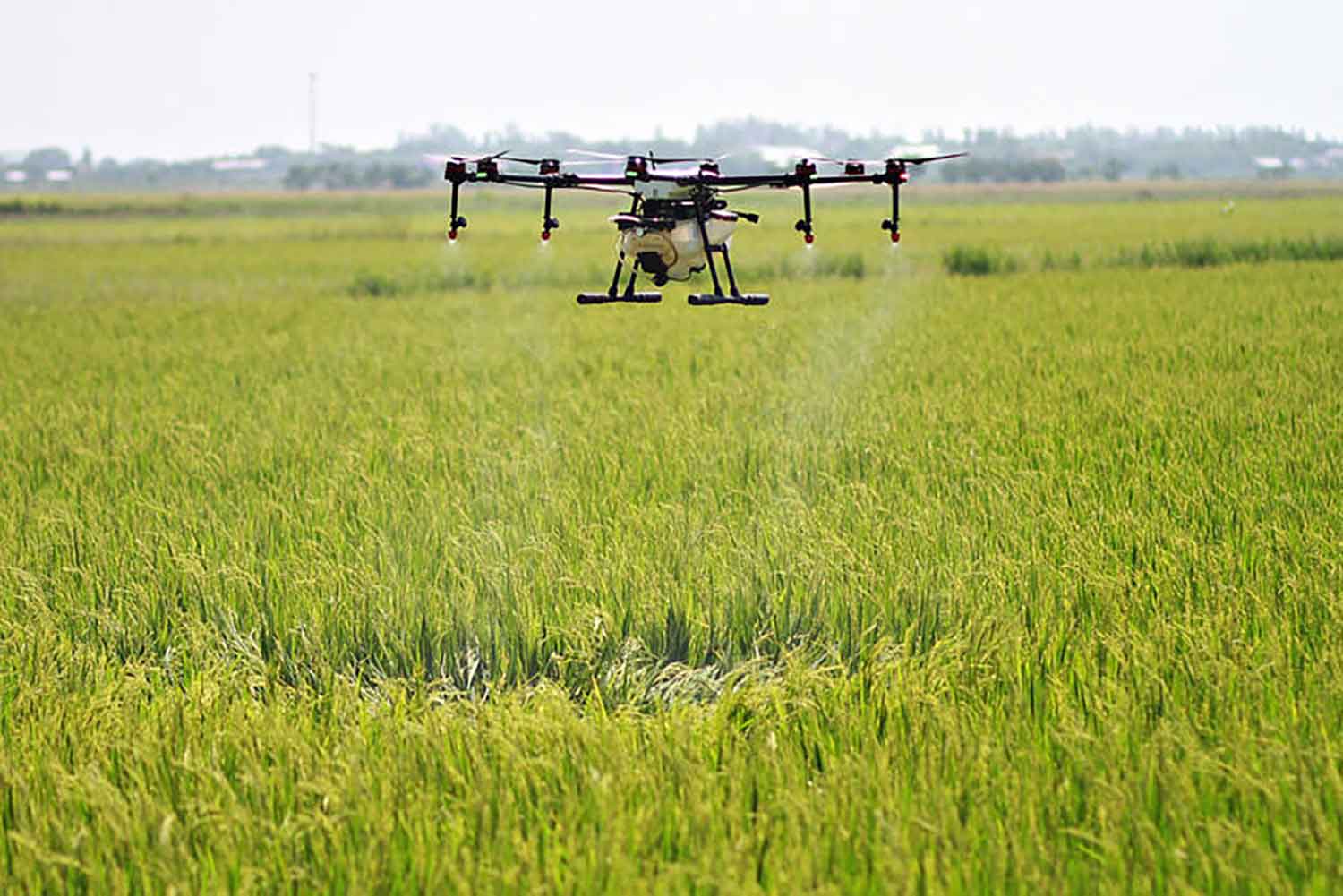 Cara Memaksimalkan Drone Pertanian untuk Perawatan Tanaman yang Lebih Efisien post thumbnail image