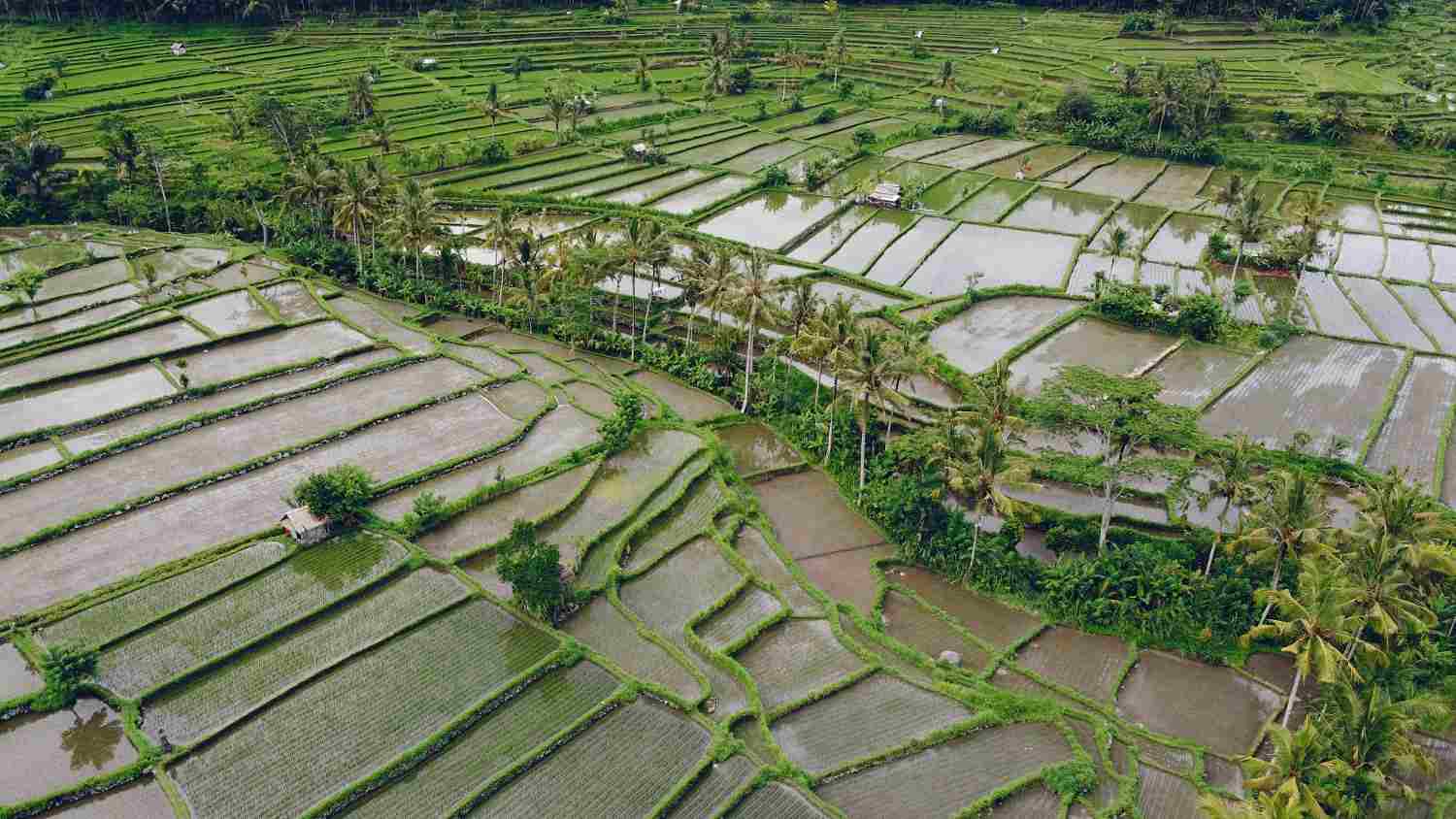 pengelolaan lahan