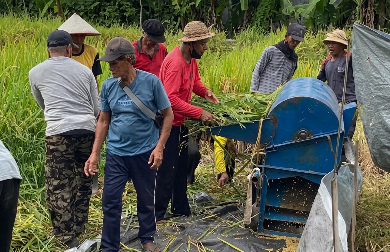 keuntungan mesin perontok padi