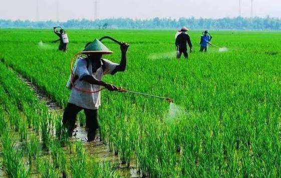 Cara Menggunakan Hand Sprayer Elektrik untuk Penyemprotan post thumbnail image