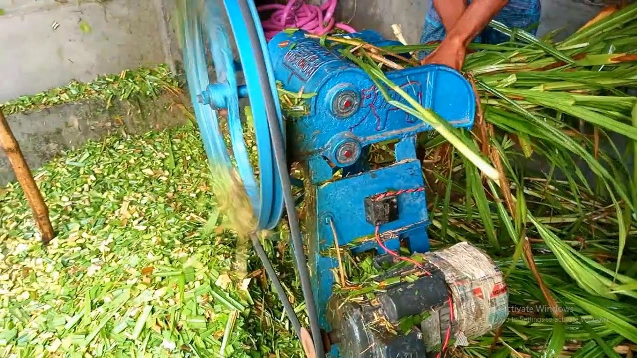 kendala saat mencacah rumput
