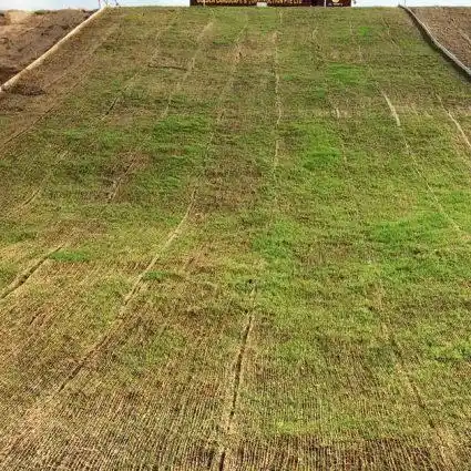 Bahan Biodegradable untuk Perlindungan Permukaan Tanah dari Erosi post thumbnail image