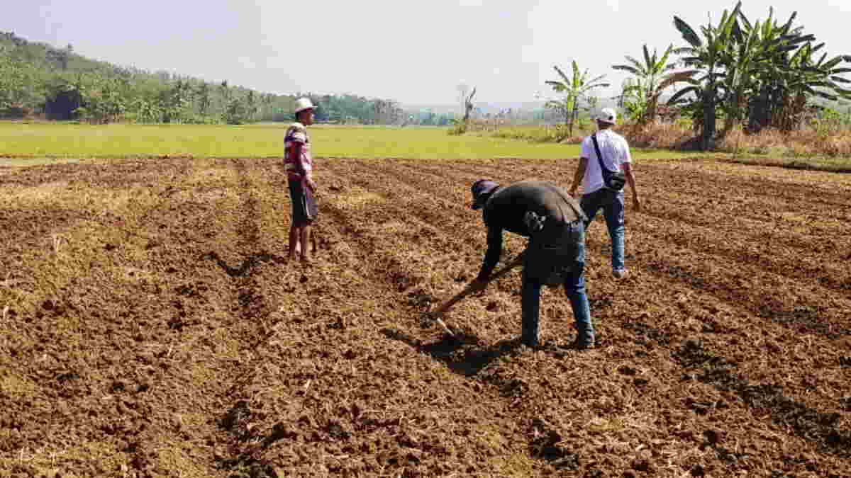 Pengelolaan Lahan Kering untuk Pertanian