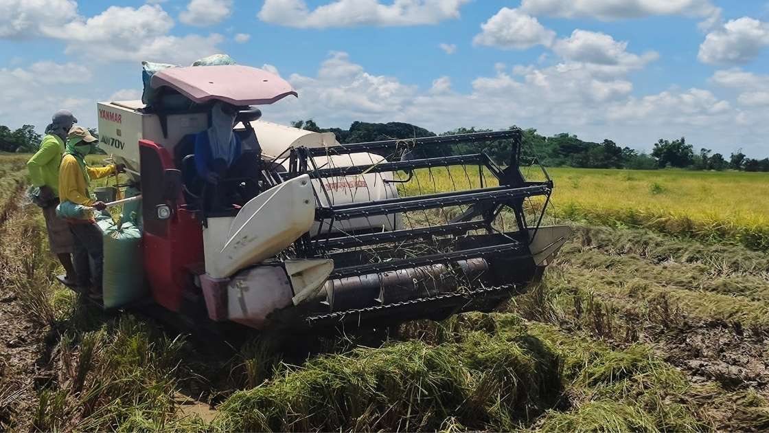 Perawatan Combine Harvester agar Tetap Prima