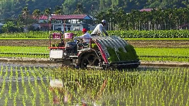 Pengeluaran Usaha Tani Menjelang Musim Tanam